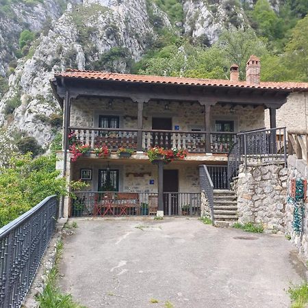 Apartament El Portal Del Abuelo Arenas De Cabrales Zewnętrze zdjęcie