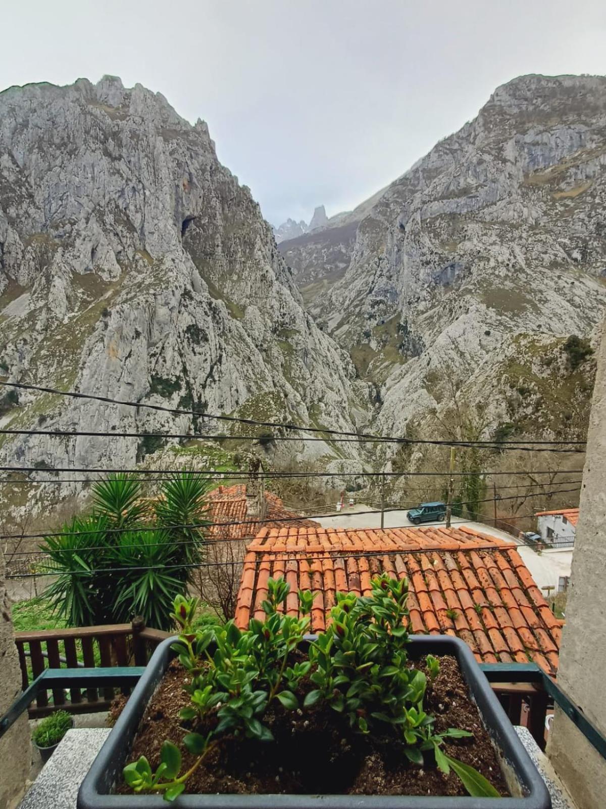 Apartament El Portal Del Abuelo Arenas De Cabrales Zewnętrze zdjęcie